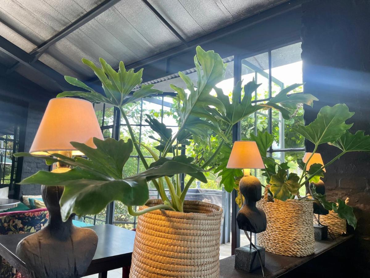 Le Reve Boutique Hotel 图尔巴 外观 照片